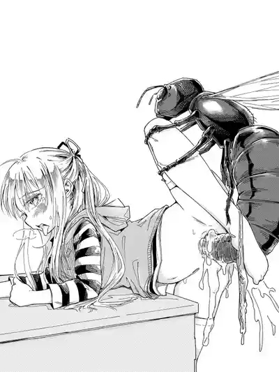 けまりけ（自用） 1