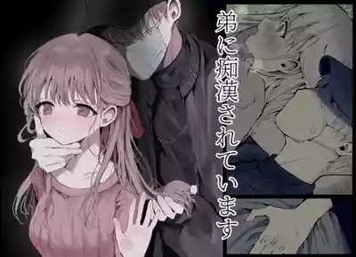 弟に痴漢されています 1