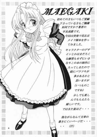 Specialist Maid Tai 3