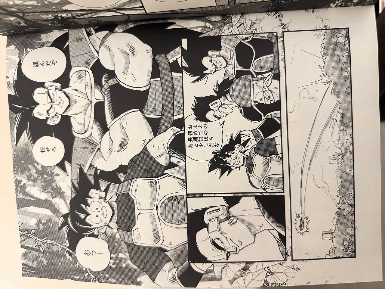 Raditz - Page 25