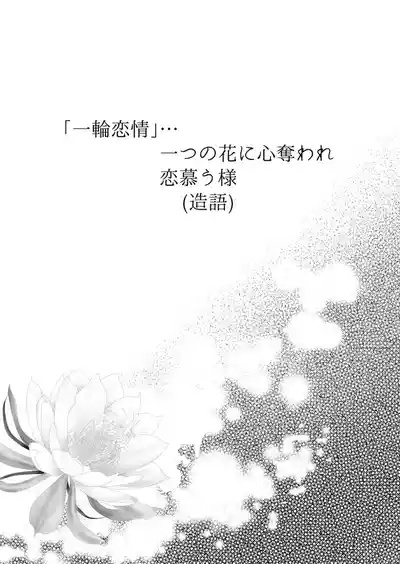 (Yuzu koto] ichirin renjō' (Kusuriya no Hitorigoto] 2