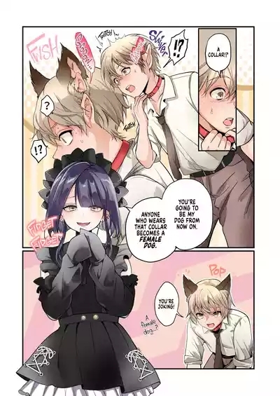 Mesu Inu-ka no Kubiwa | Bitchification Collar 4