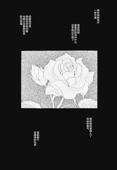 La prière de la rose 4