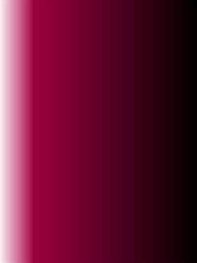 Hitozuma Spy to Mafia no Musuko 3 2