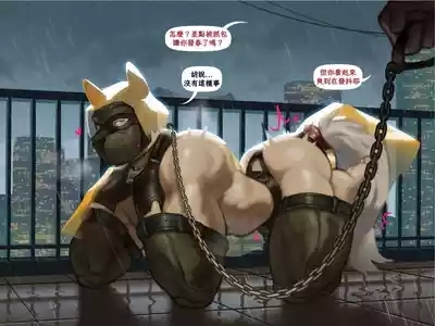 Walk Him Like a Pup 6