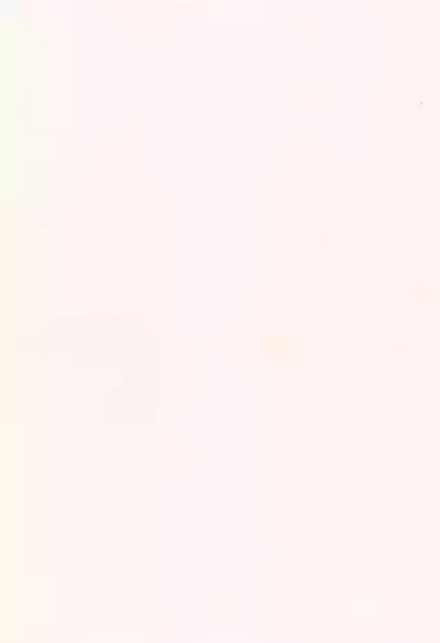 Sensei wa Oshierarenai 3