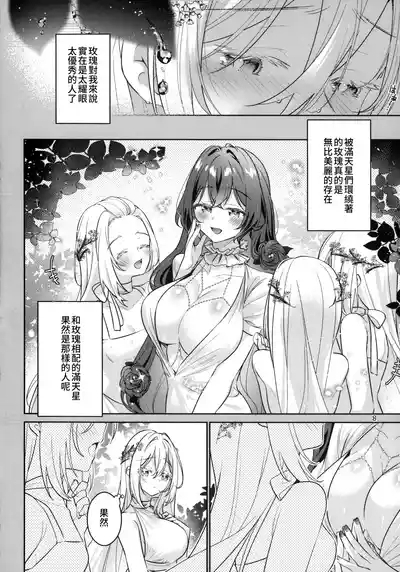 in Bloom - Rose & Gypsophila 10