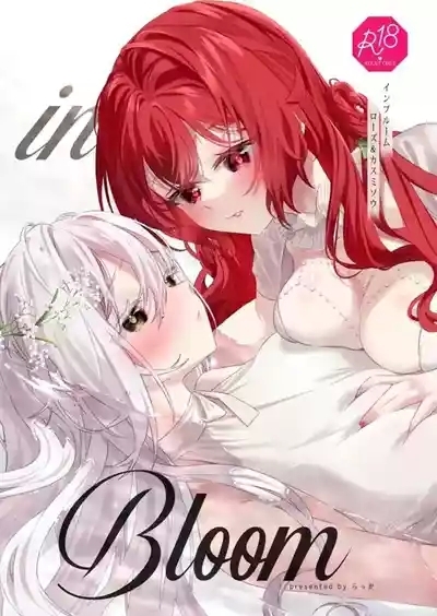 in Bloom - Rose & Gypsophila 1