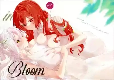 in Bloom - Rose & Gypsophila 2