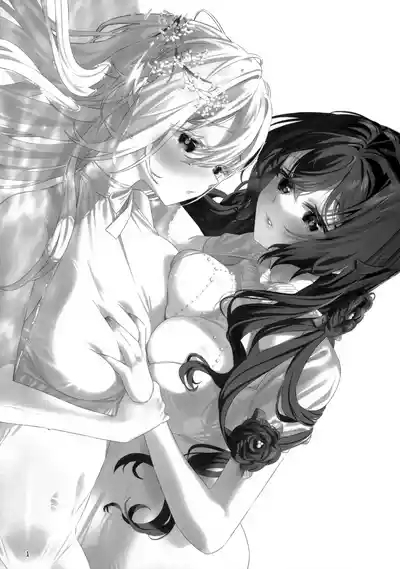 in Bloom - Rose & Gypsophila 3