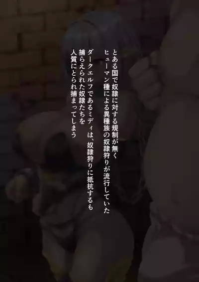 Baku nyuu Dark Elf ga doreigari ni tsukamaruto... 2