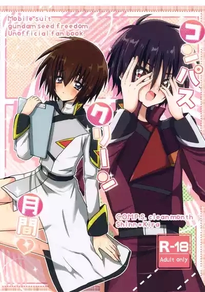 C.O.M.P.S. cleanmonth 1