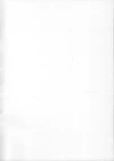 Sylphy no Asakatsu 2