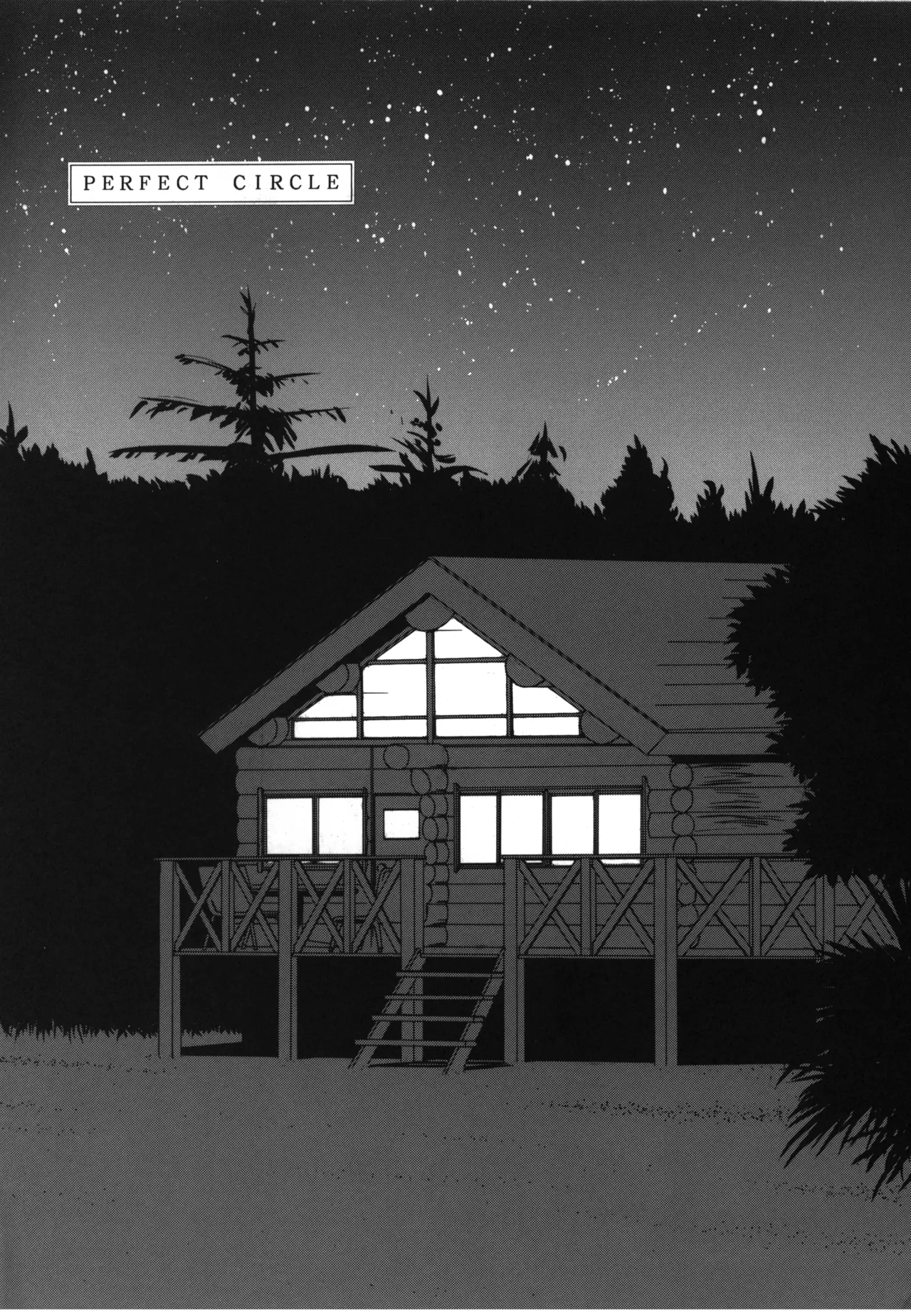 PERFECT CIRCLE - Page 4