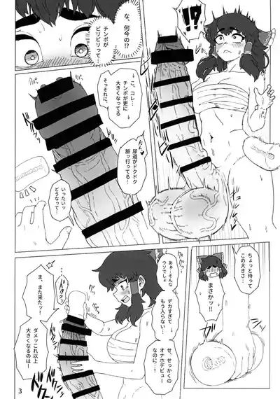Touhou Futanari Jihen Miko to Yousei, Hajimete no Nyoudou Sex 5