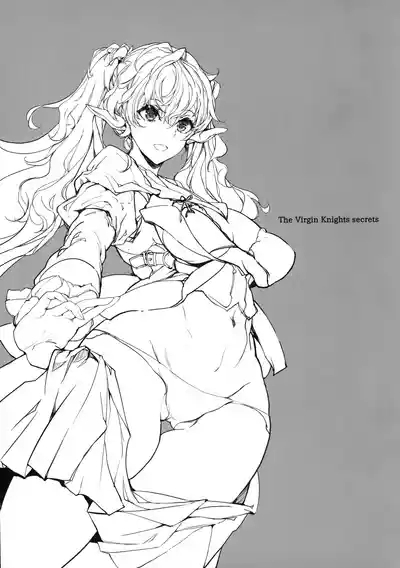 Otome Kishi no Himegoto | 少女騎士之秘密 2