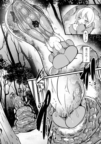 Shinmidori no Hoshokusha 5