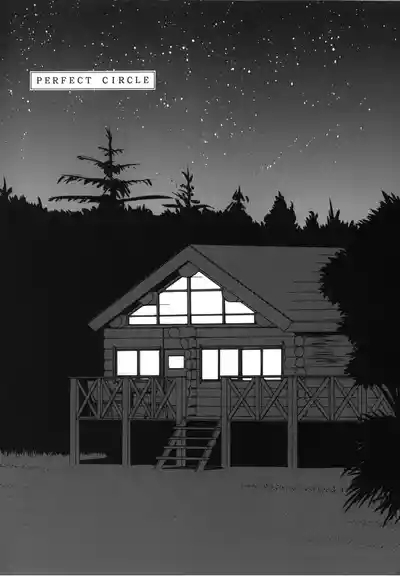 PERFECT CIRCLE 4