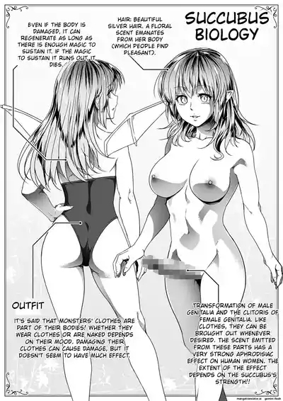 Chikara Aru Succubus wa Seiyoku o Mitashitai dake 9 3