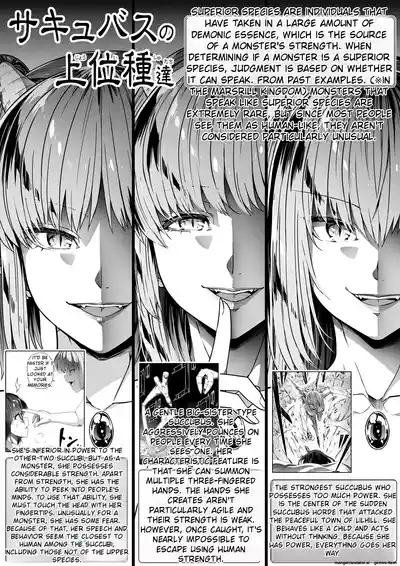 Chikara Aru Succubus wa Seiyoku o Mitashitai dake 17 5