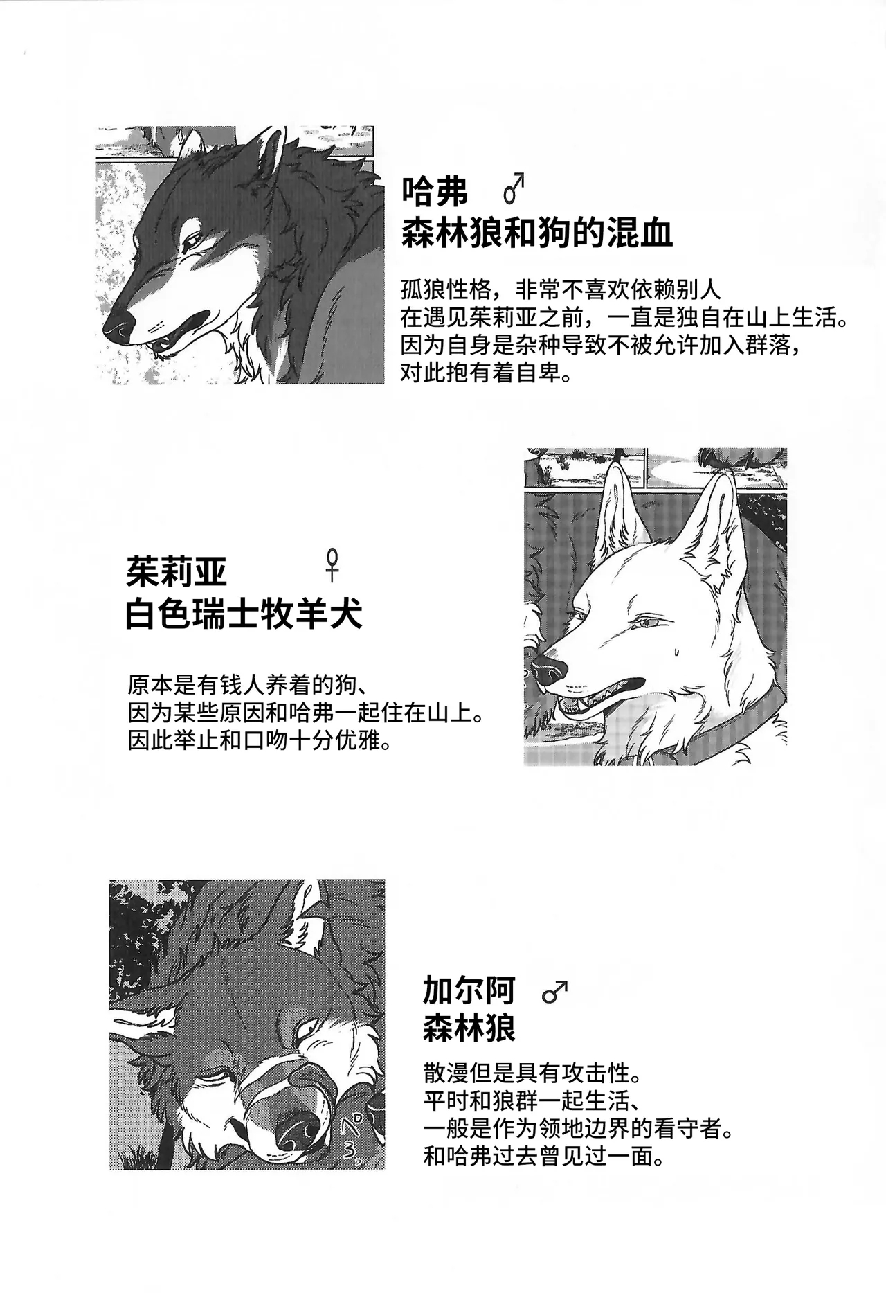 (関西けもケット10) [ネコノシュウカイジョ (猫又)] ETERNAL FIRST [中国翻訳] - Hentaiaz.com - 2