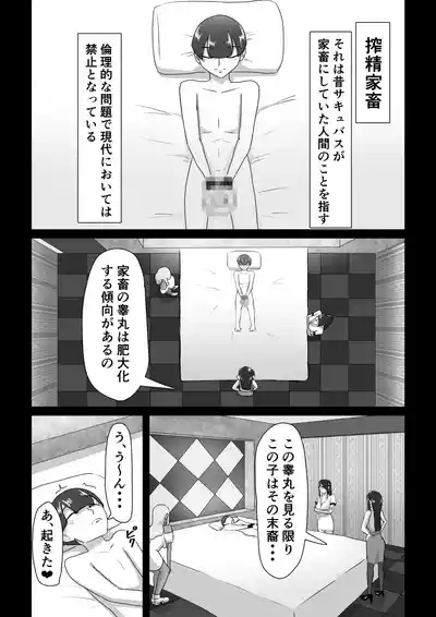 搾精契約〜サキュバス達の本気搾精三重奏〜 2