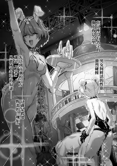 Ashi Megami Seifukuki 2 5