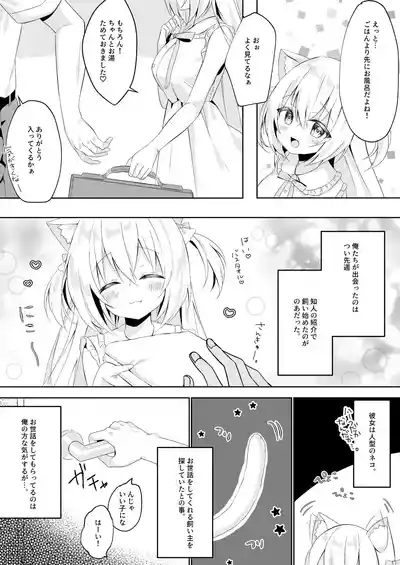 Hatsujou Neko no Osewa no Shikata 1~2 Soushuuhen 3