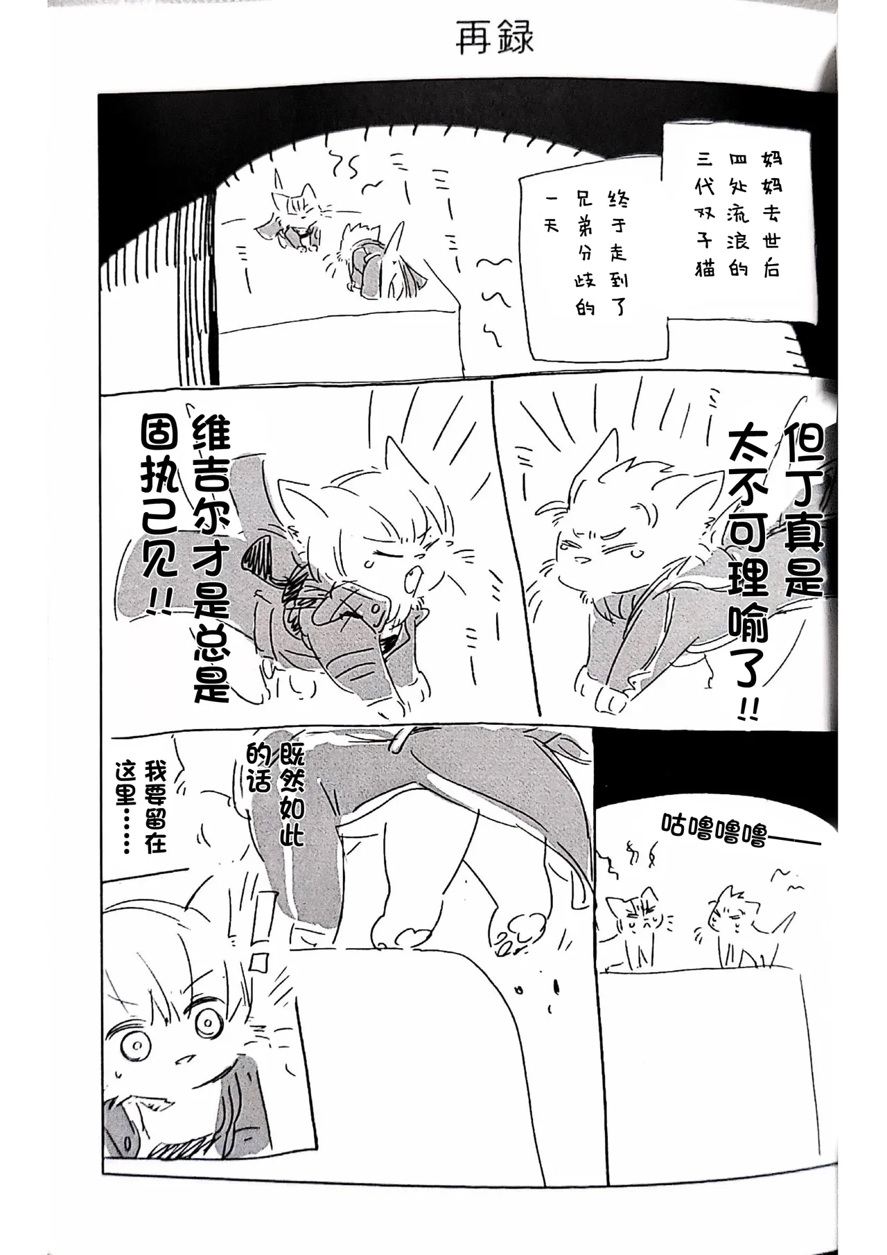 [灸と生ハム(宗六)] 双子猫再録 [ダンバジ](デビルメイクライ) [中国翻訳] - Hentaiaz.com - 2