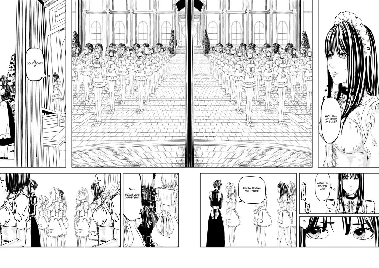 M.A.I.D.S. System - Page 13