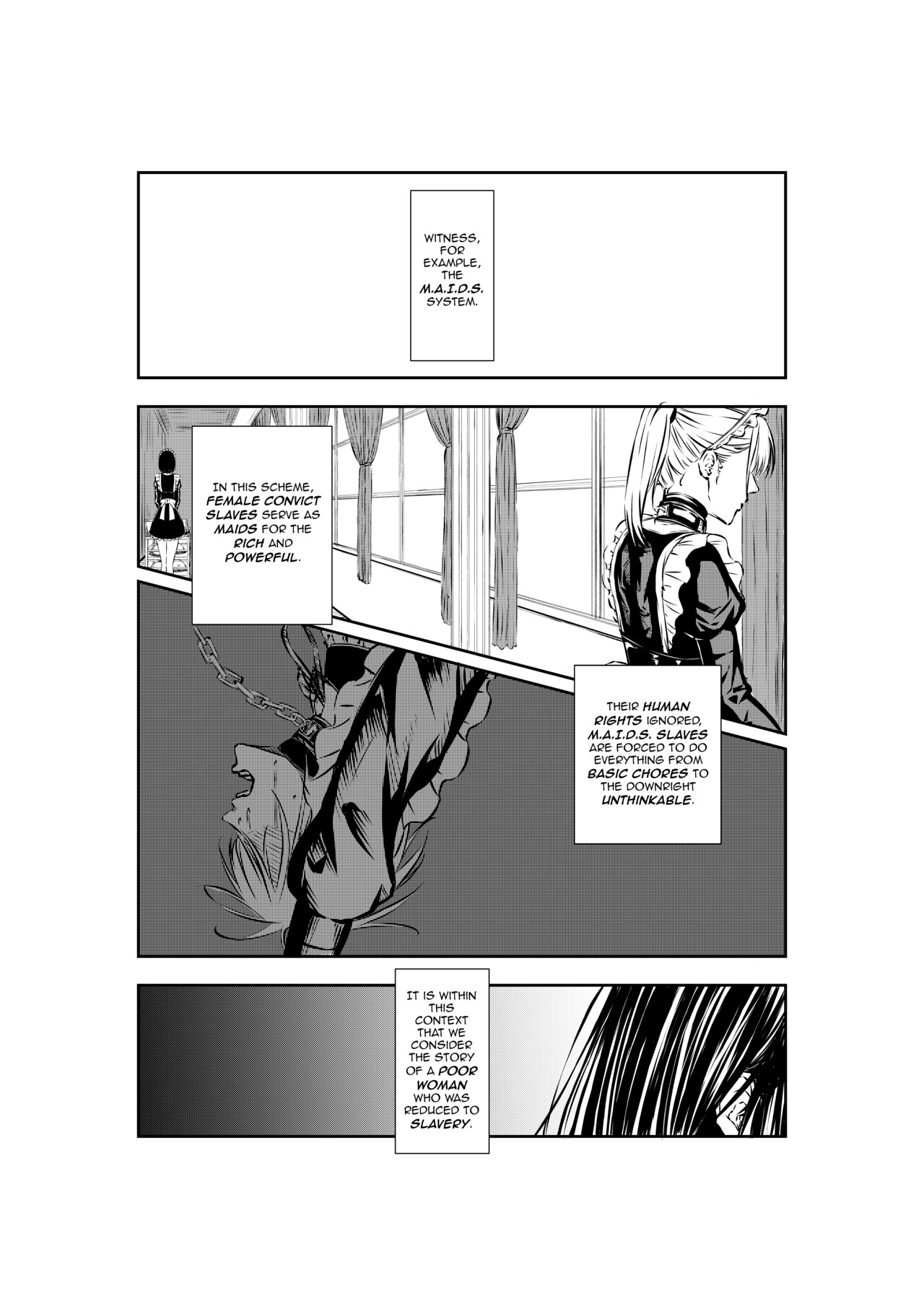 M.A.I.D.S. System - Page 2