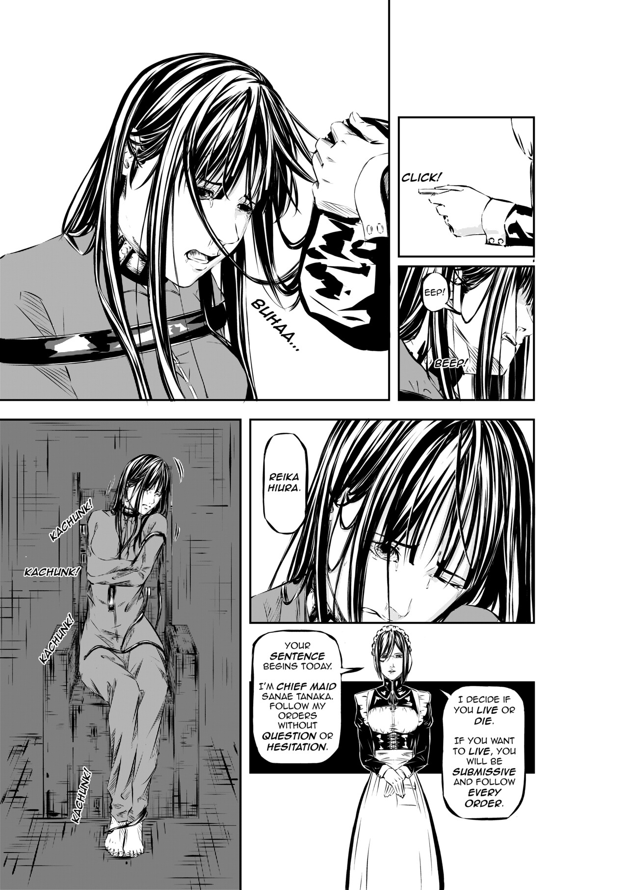 M.A.I.D.S. System - Page 7