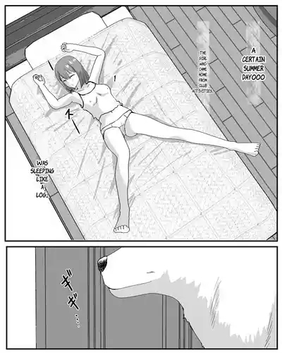 dog well I was sleeping 2