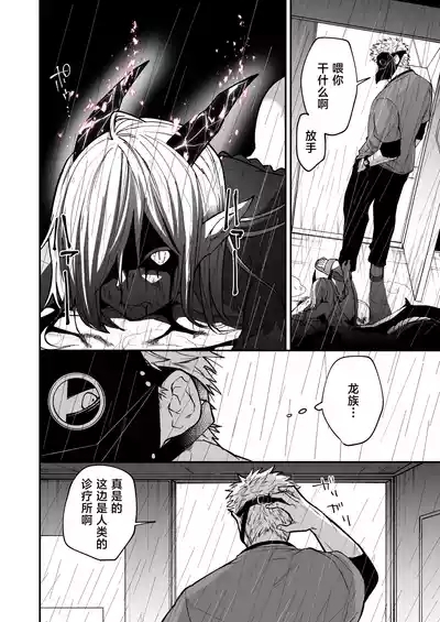 Hidamari no ryuu, yugure no karasu | 向阳处的龙与黄昏的乌鸦 1-8.5end+附赠 7