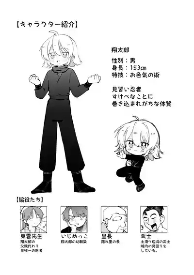 Iromeki Ninpouchou 2