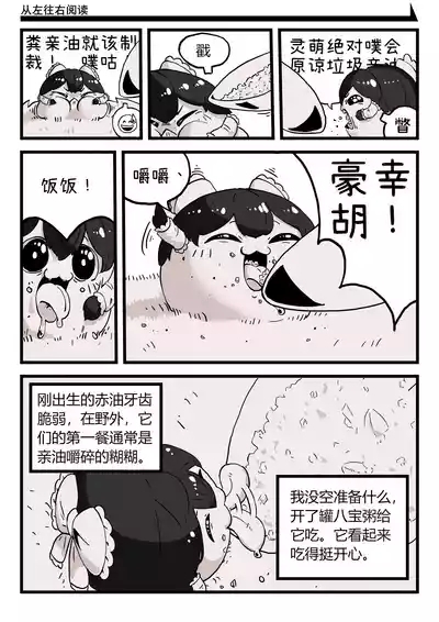 ［yukkuri］【zxy1147】简单饲养记录 6