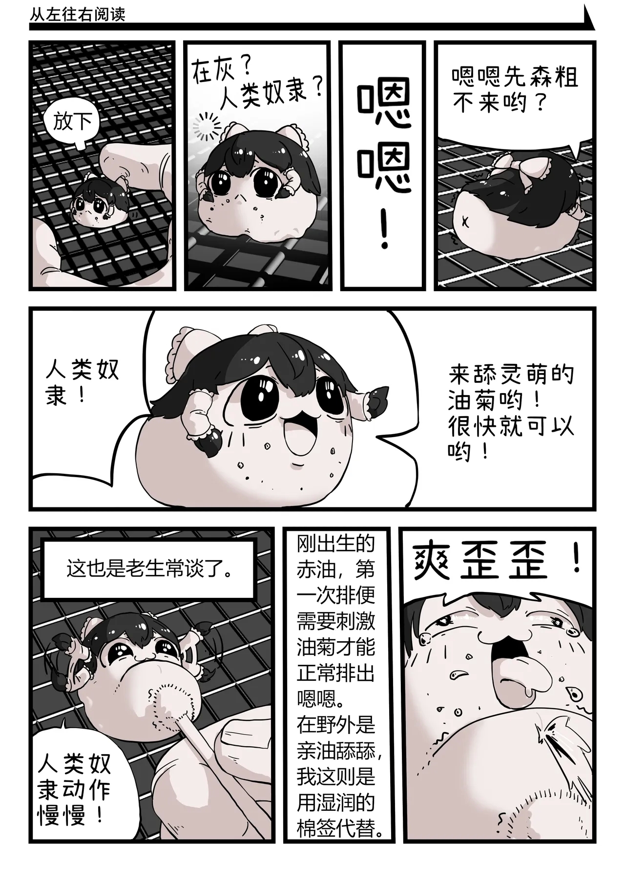 ［yukkuri］【zxy1147】简单饲养记录 - Page 8