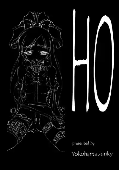 Ho 3