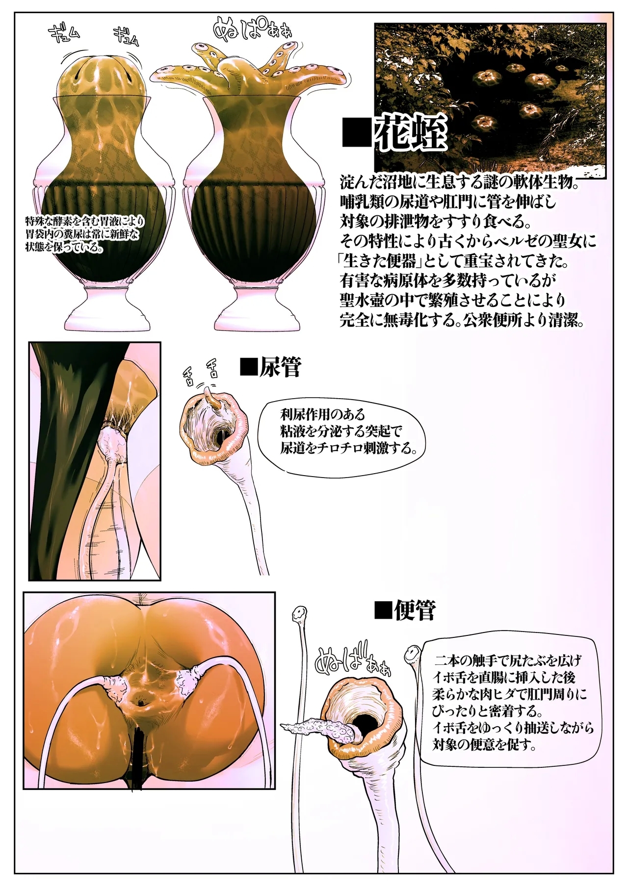 聖肛ノ焔「第一話」 - Page 46