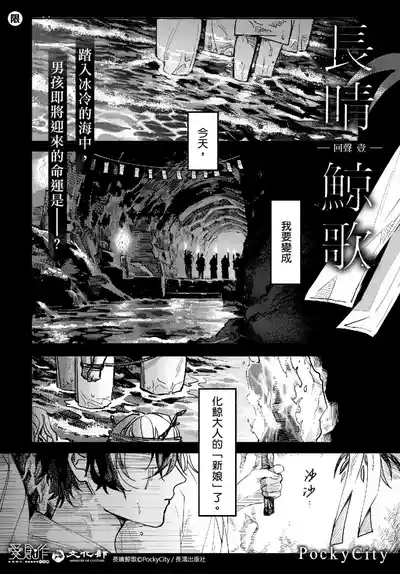 Long-lasting whale song 3