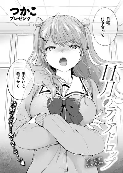 11月のティアドロップ 2