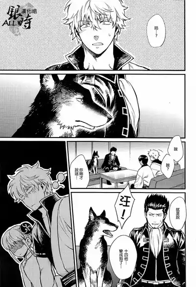 How to Spoil Your Dog 6