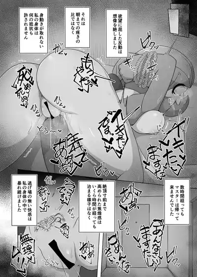 ポケルス再録 9