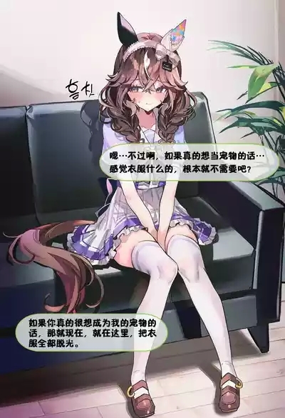 摘得花束的方法 9