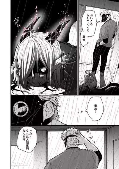 Hidamari no ryuu, yugure no karasu 8